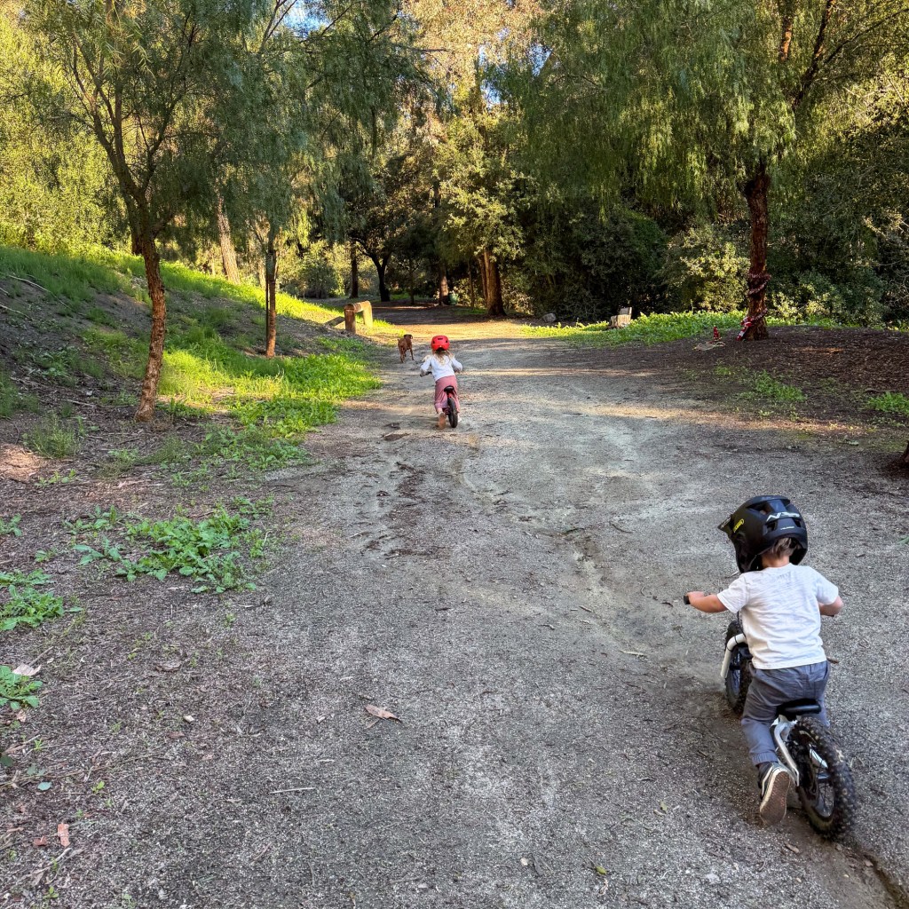 Toddler Bike Gear We Actually&nbsp;Use