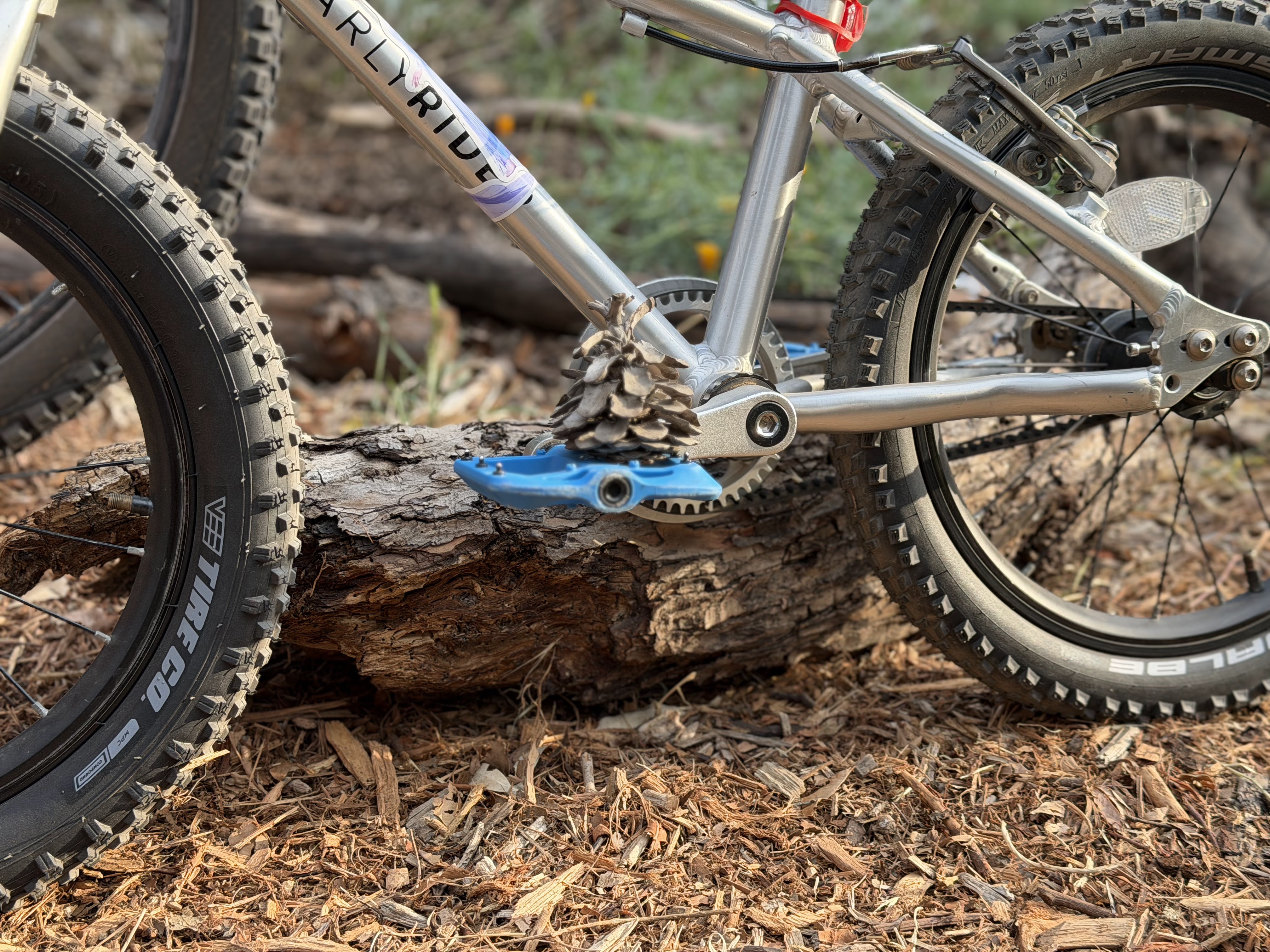 Pedals & Pinecones